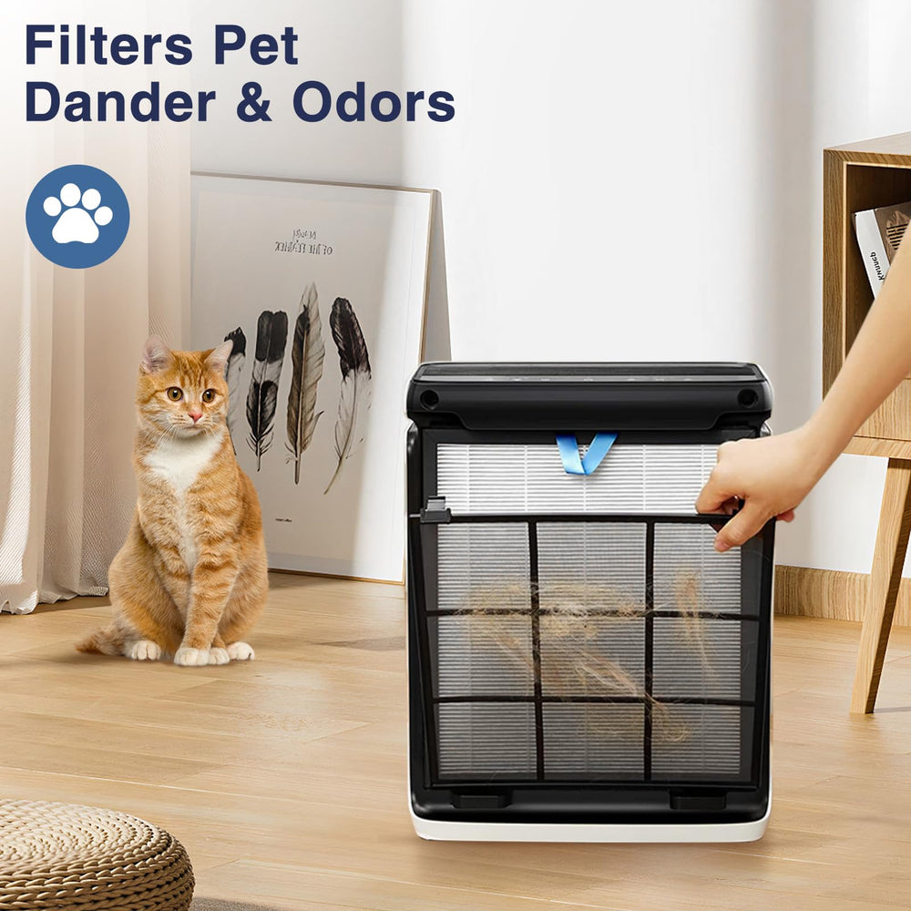 Cabiclean comparación de tamaño del filtro con una mano para visualizar escala y ajuste