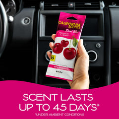 California Scents bloque colocado bajo asiento generando aroma discreto y sostenido