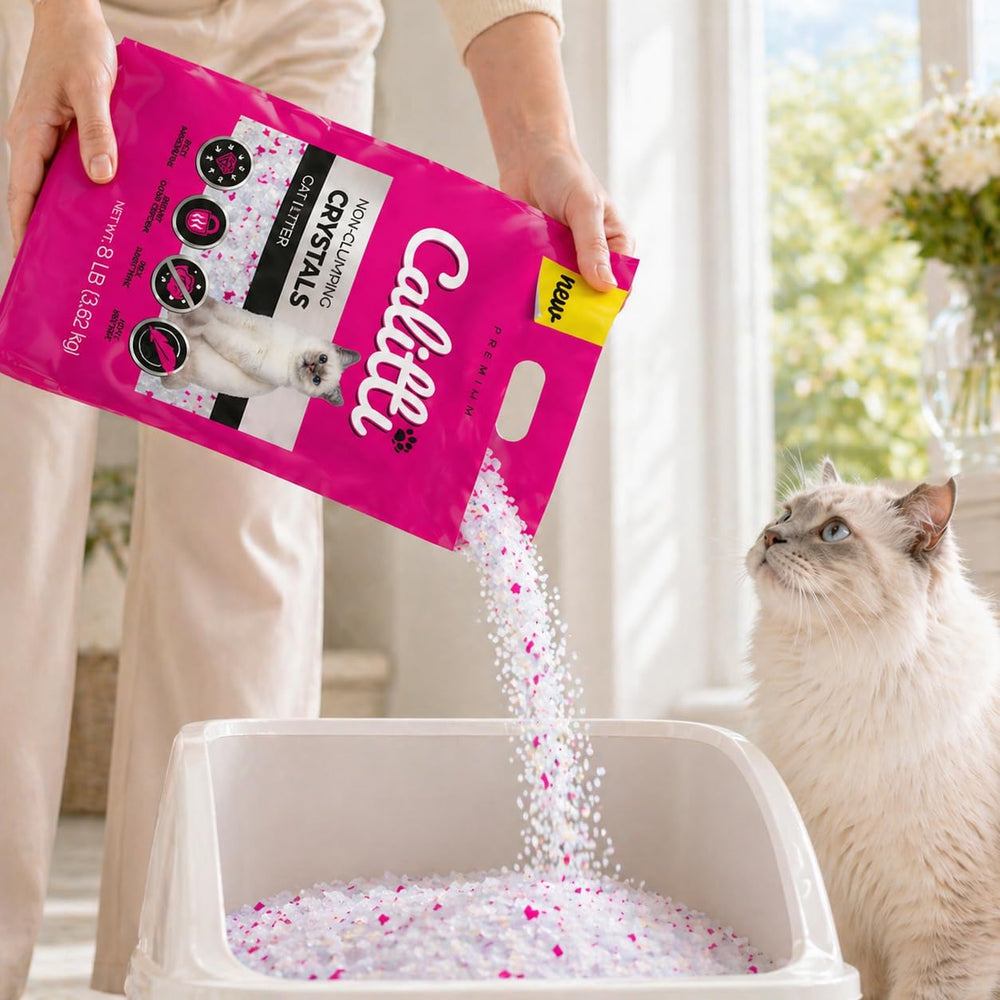 Calitti detalle de patas de gato sobre cristales, confort y cuidado