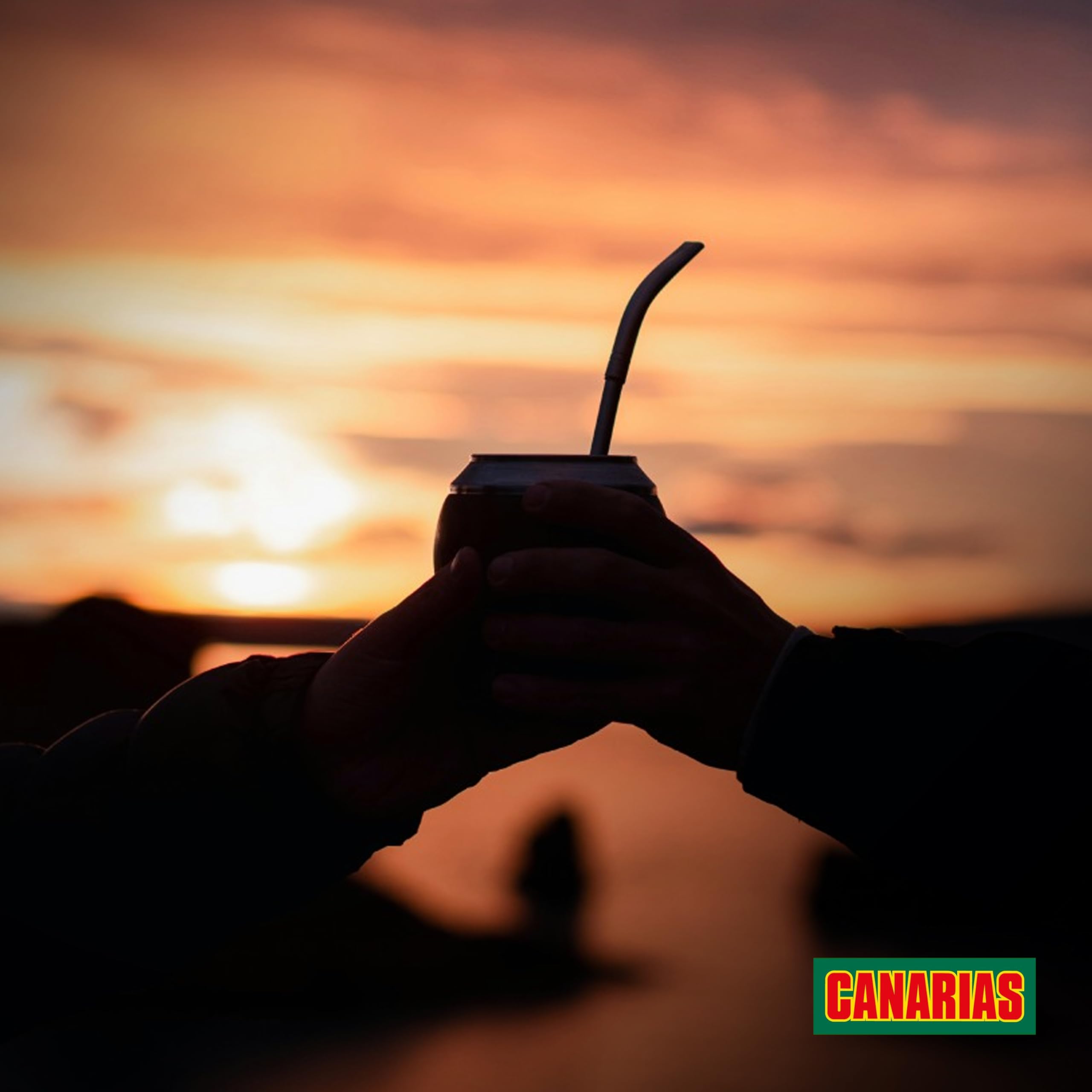 Canarias hojas sueltas y hierbas mezcladas, evidencia de ingredientes naturales