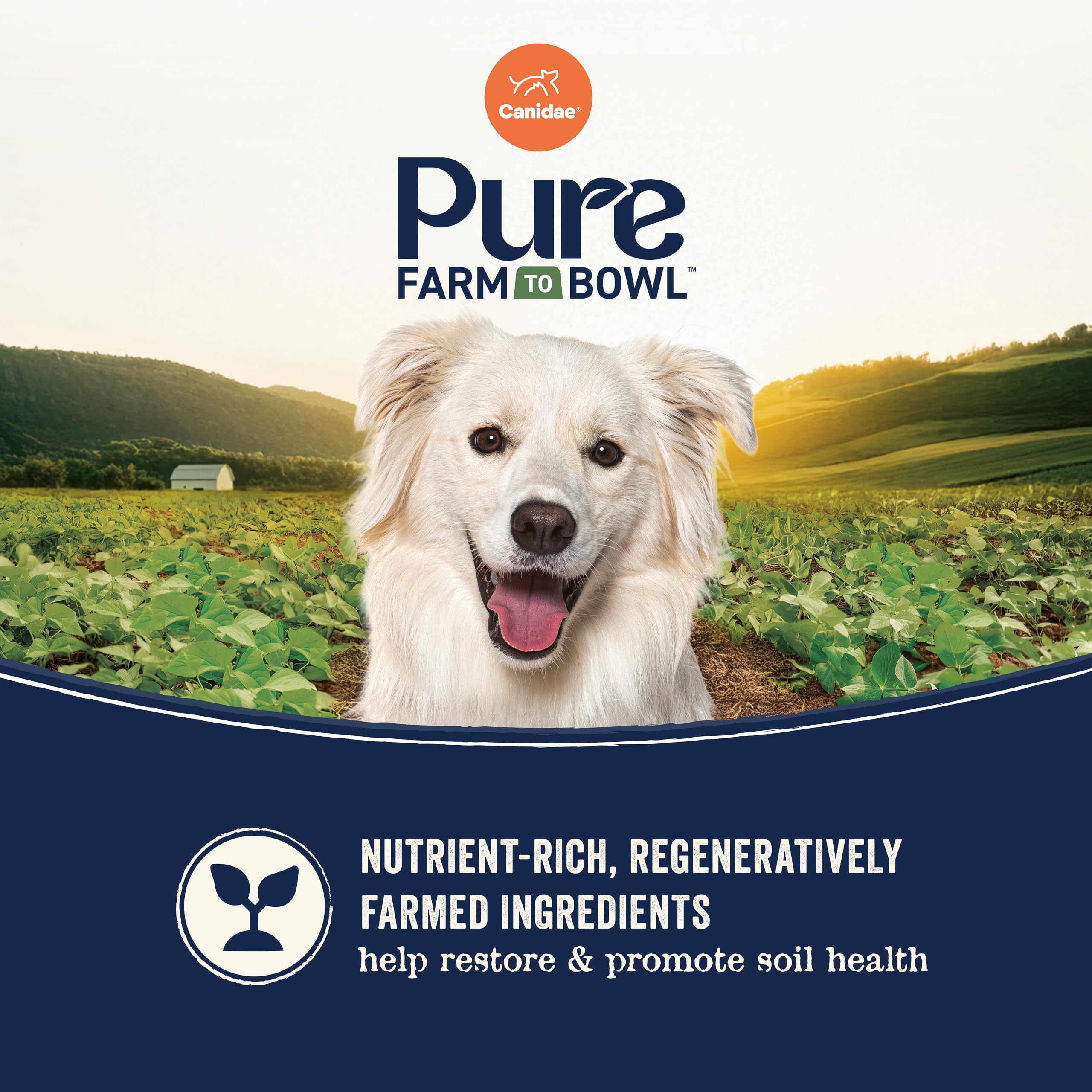 CANIDAE ingredientes clave salmón salvaje y batata para claridad de origen
