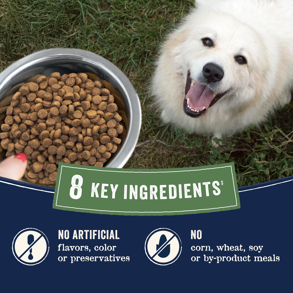 CANIDAE bol con croquetas para comparar tamaño y porción visual
