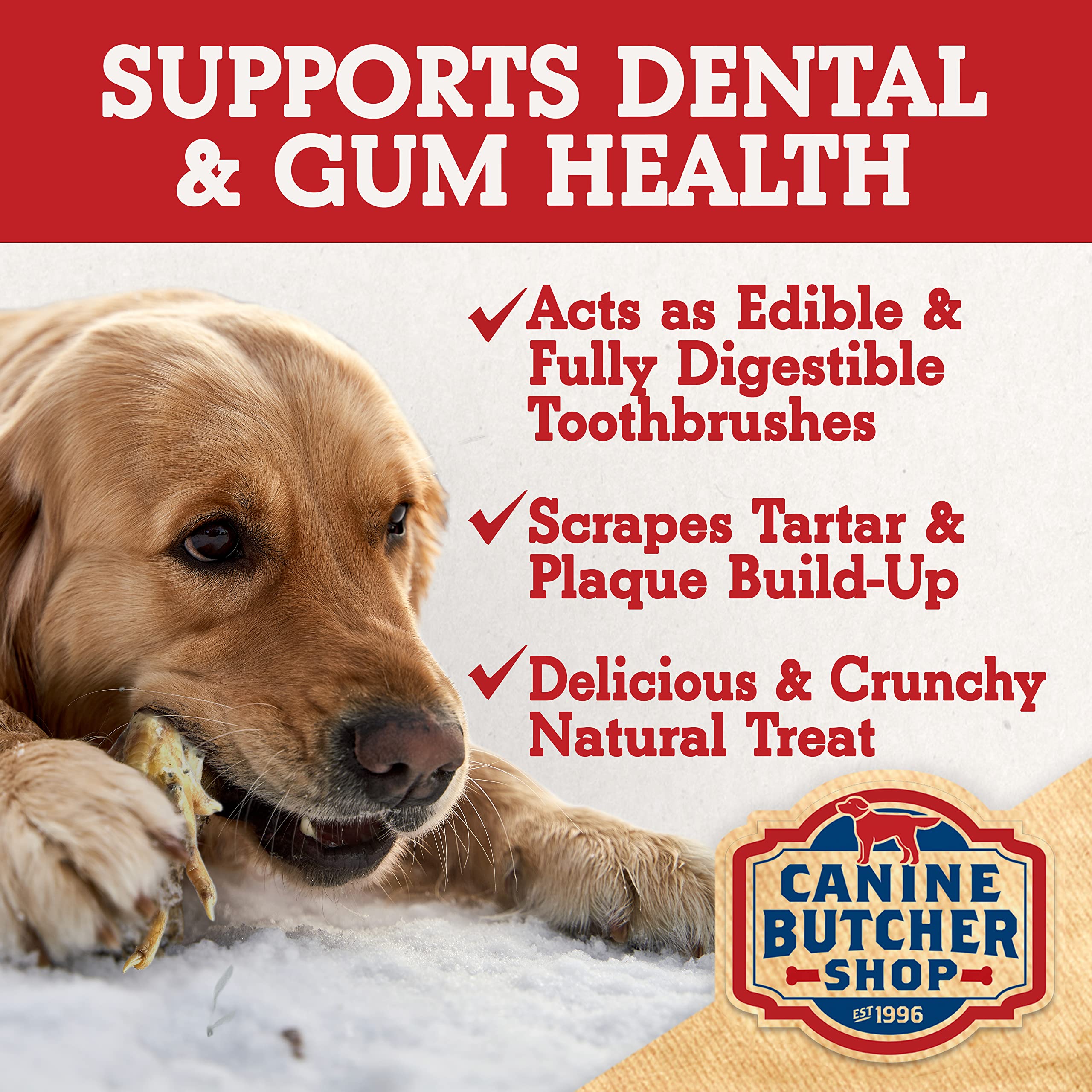 Dog actively chewing Canine Butcher Shop treat outdoors providing enrichment and calm