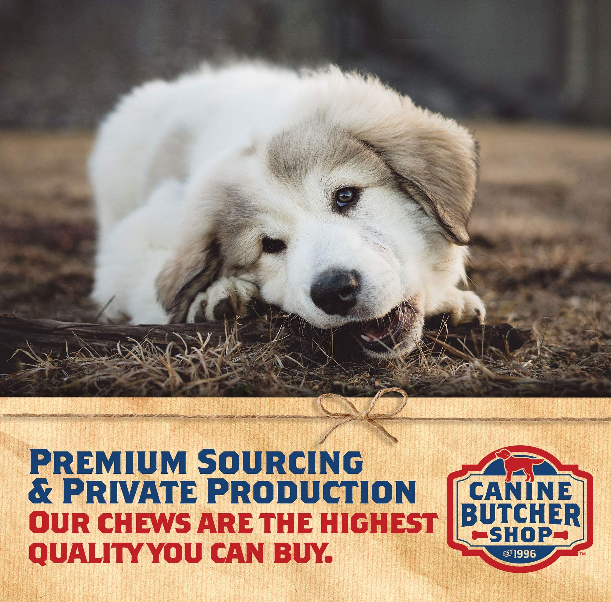 Canine Butcher Shop etiqueta con ingredientes que muestra 100% oreja de cerdo y sin aditivos