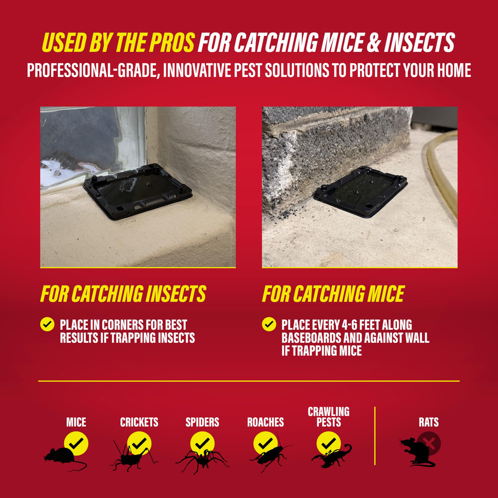 catchmaster trampa en mano para escala, tamaño práctico y fácil instalación