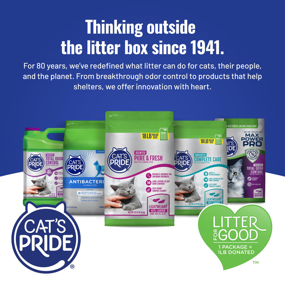 Cat's Pride ambiente hogareño limpio con bandeja y suelos sin rastros