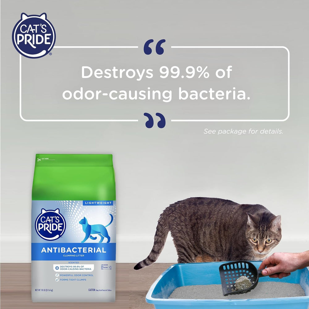Cat's Pride bolsa 12 lb junto a objetos para comparar tamaño y peso