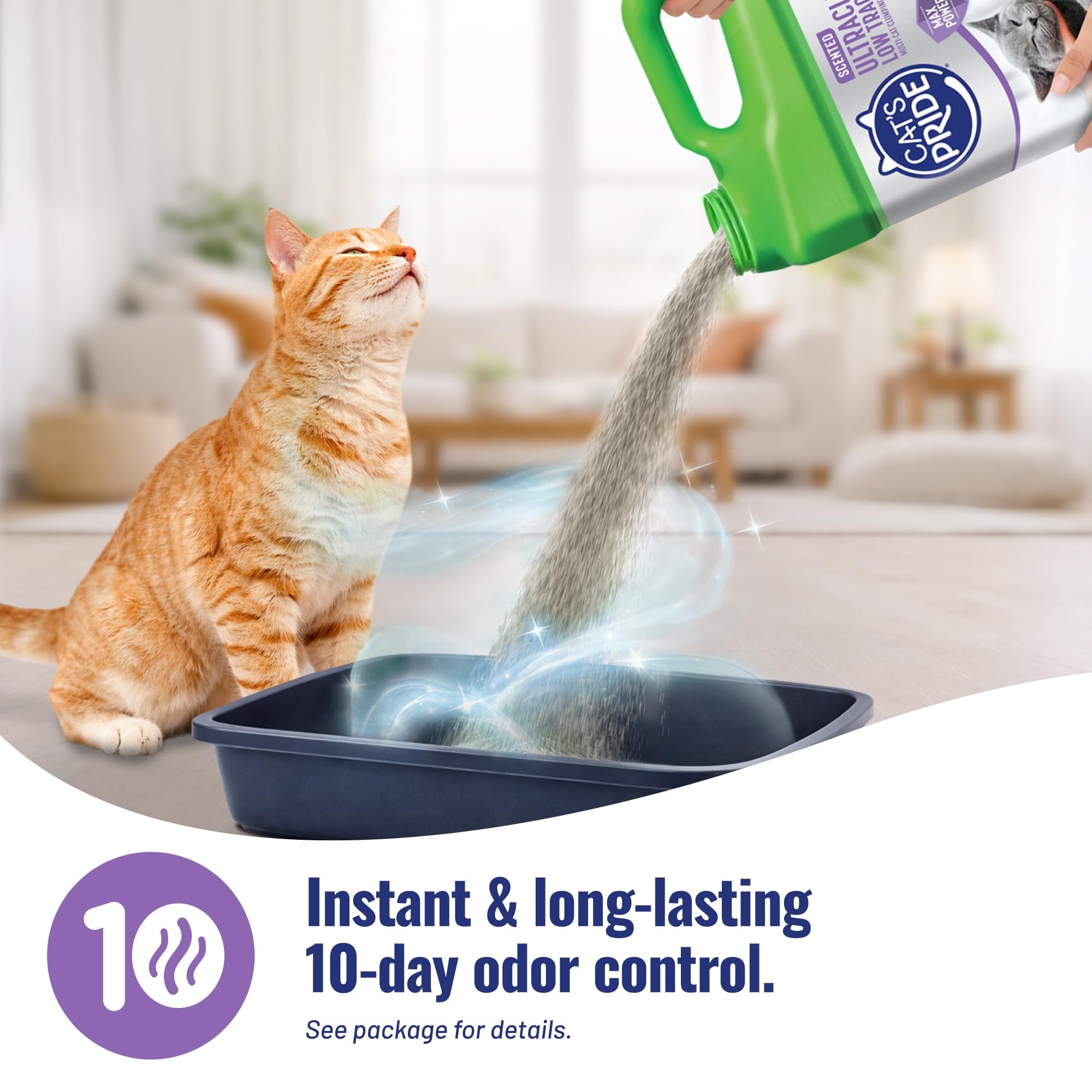 Cat's Pride comparación de tamaño 15 lb junto a objetos del hogar para escala clara