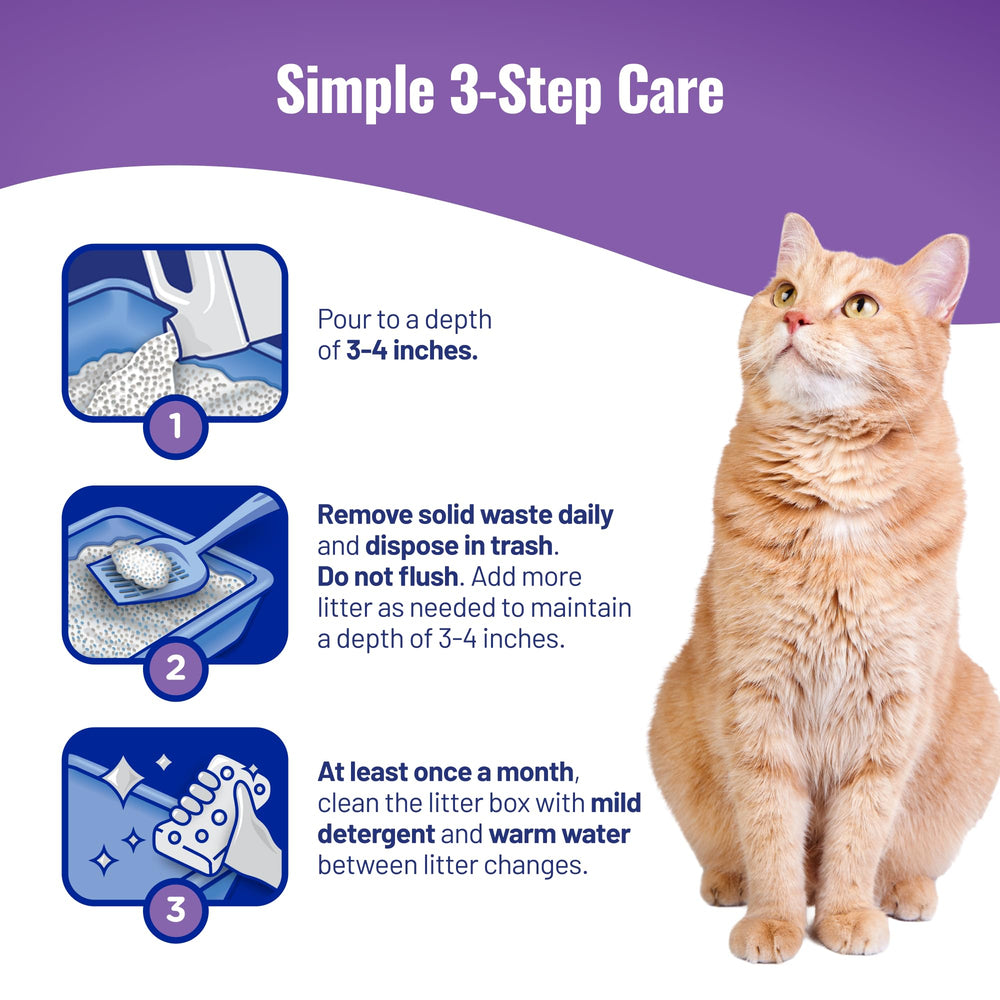 Cat's Pride escena lifestyle en cocina con caja discreta y ambiente limpio