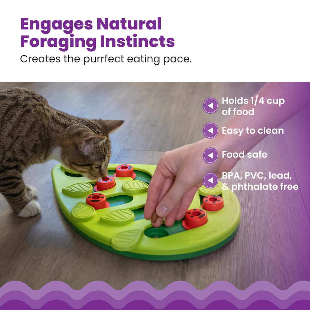 Catstages gato empujando piezas demostrando juego interactivo y ejercicio mental
