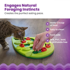 Catstages gato empujando piezas demostrando juego interactivo y ejercicio mental