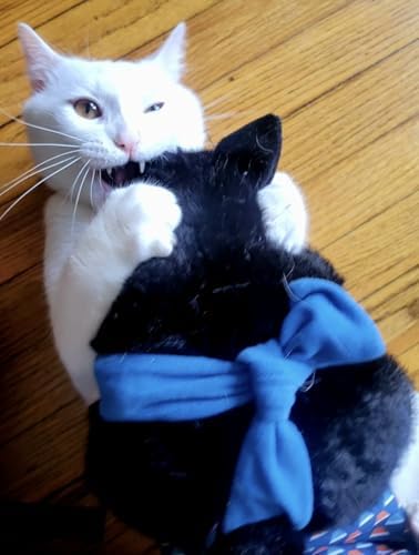 CATSUMO comparación de tamaño con mano, ajuste y ergonomía claros