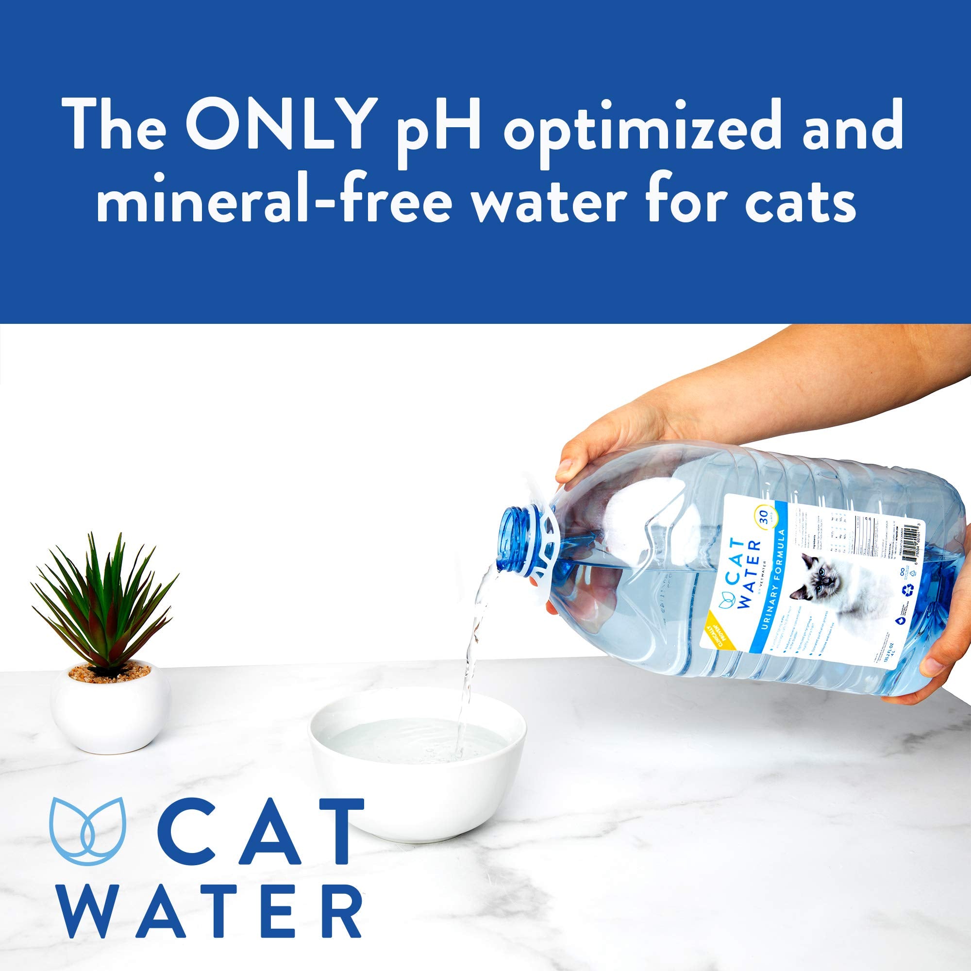 CATWATER etiqueta y detalles, información visible sobre pH y ausencia de minerales