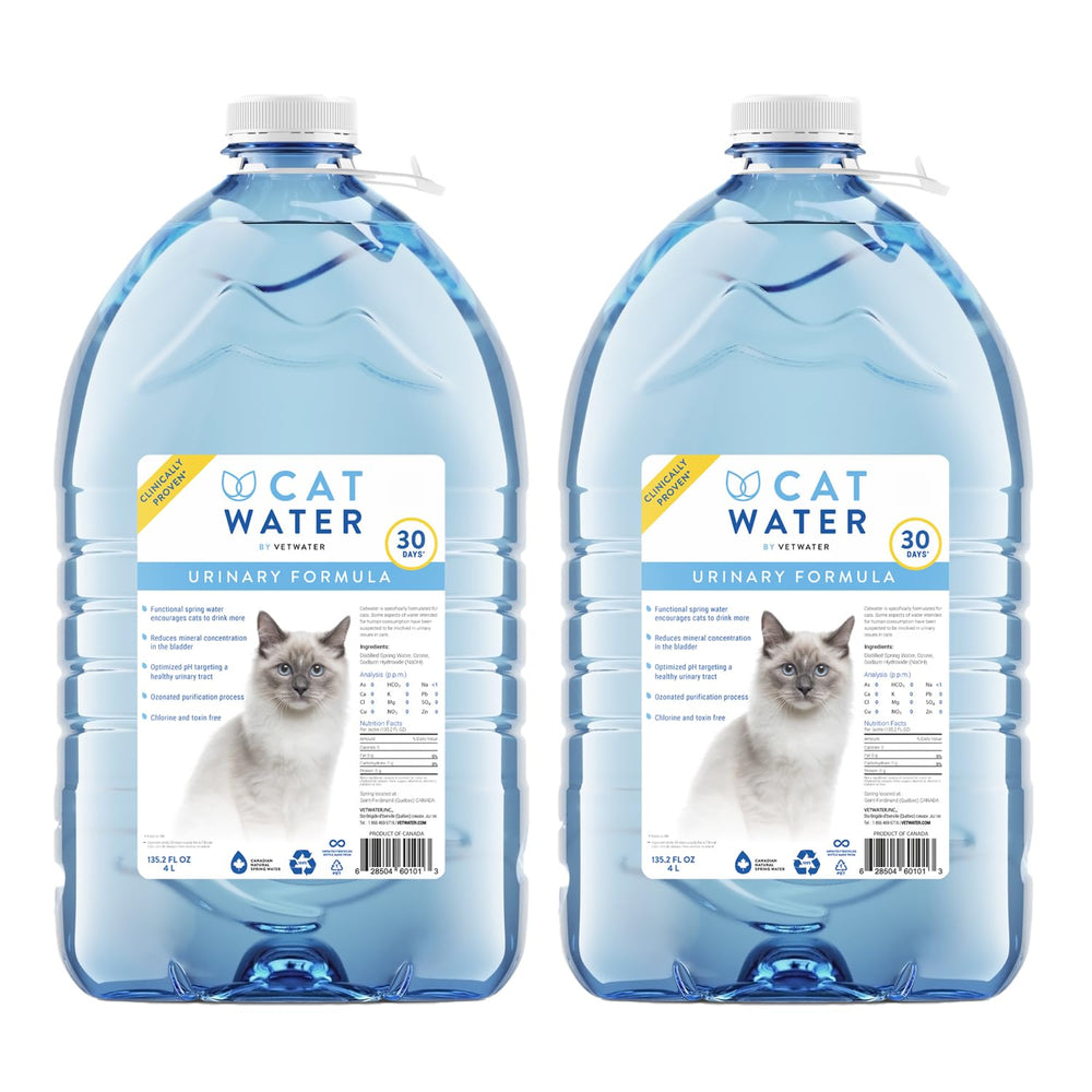 CATWATER by VETWATER vista frontal del envase, opción limpia para hidratación felina