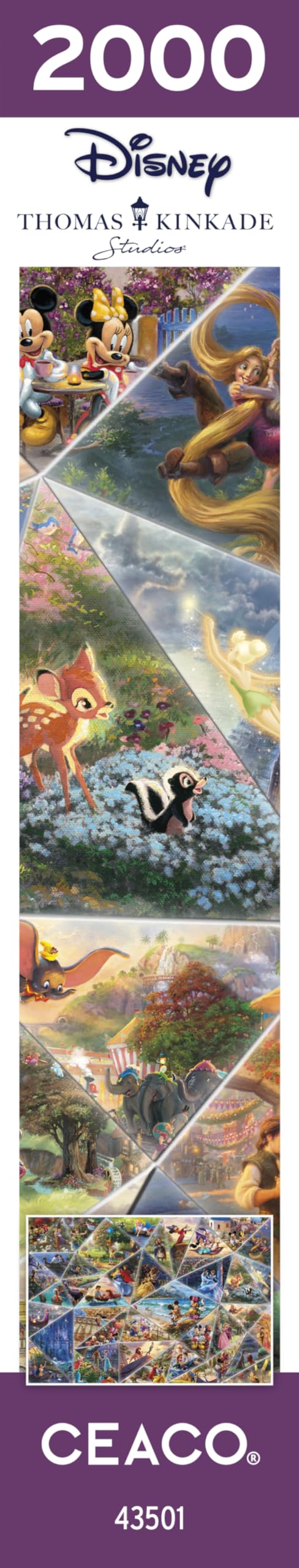 CEACO reverso de la caja con información de piezas y materiales