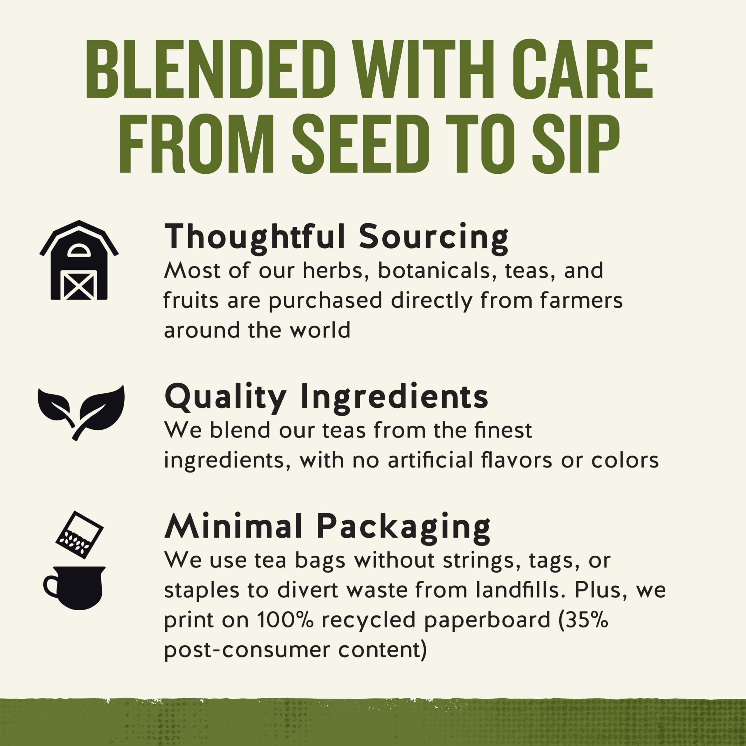 Celestial Seasonings taza de Sleepytime en mano, confort nocturno inmediato