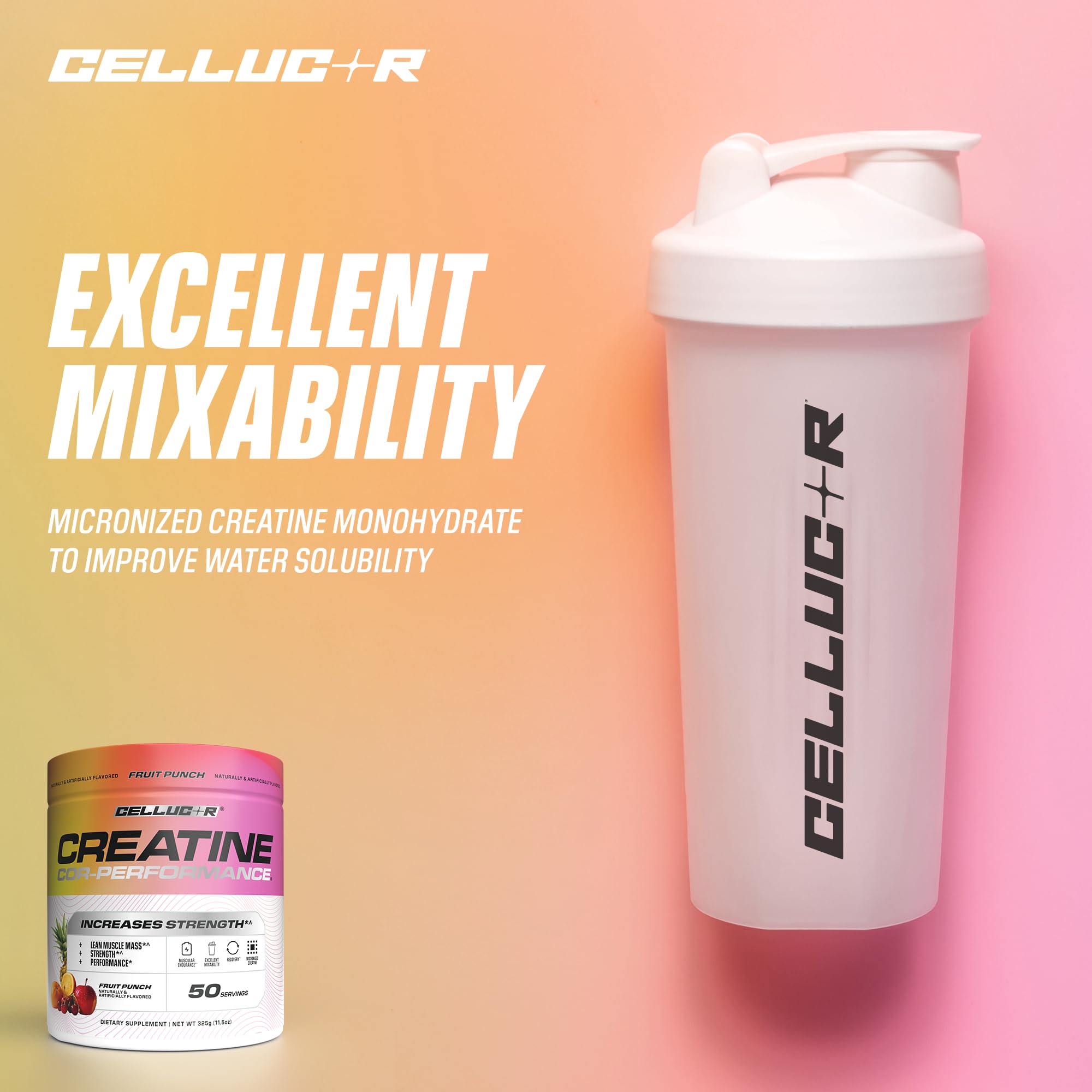 Cellucor creatine comparación de tamaño y 50 porciones en envase