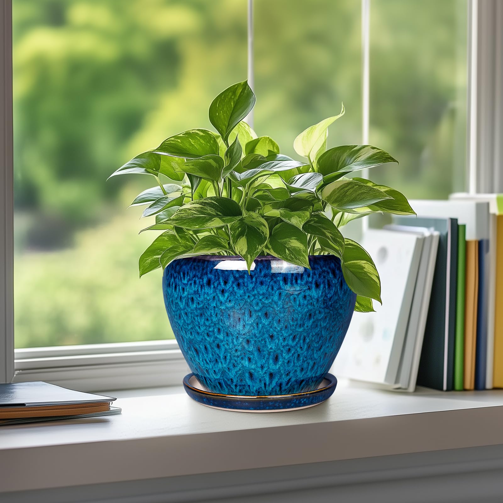 Ceramicfor comparación de tamaño en mano que muestra escala práctica