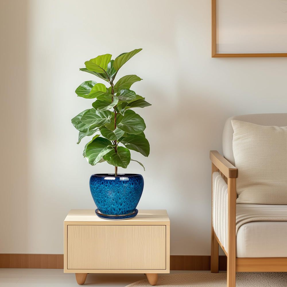 Ceramicfor maceta en alféizar aportando verde a espacios pequeños