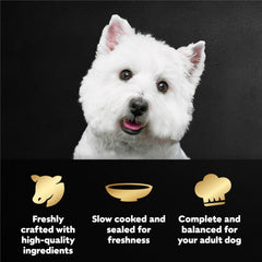 Cesar primer plano del filet de res tierno y atractivo