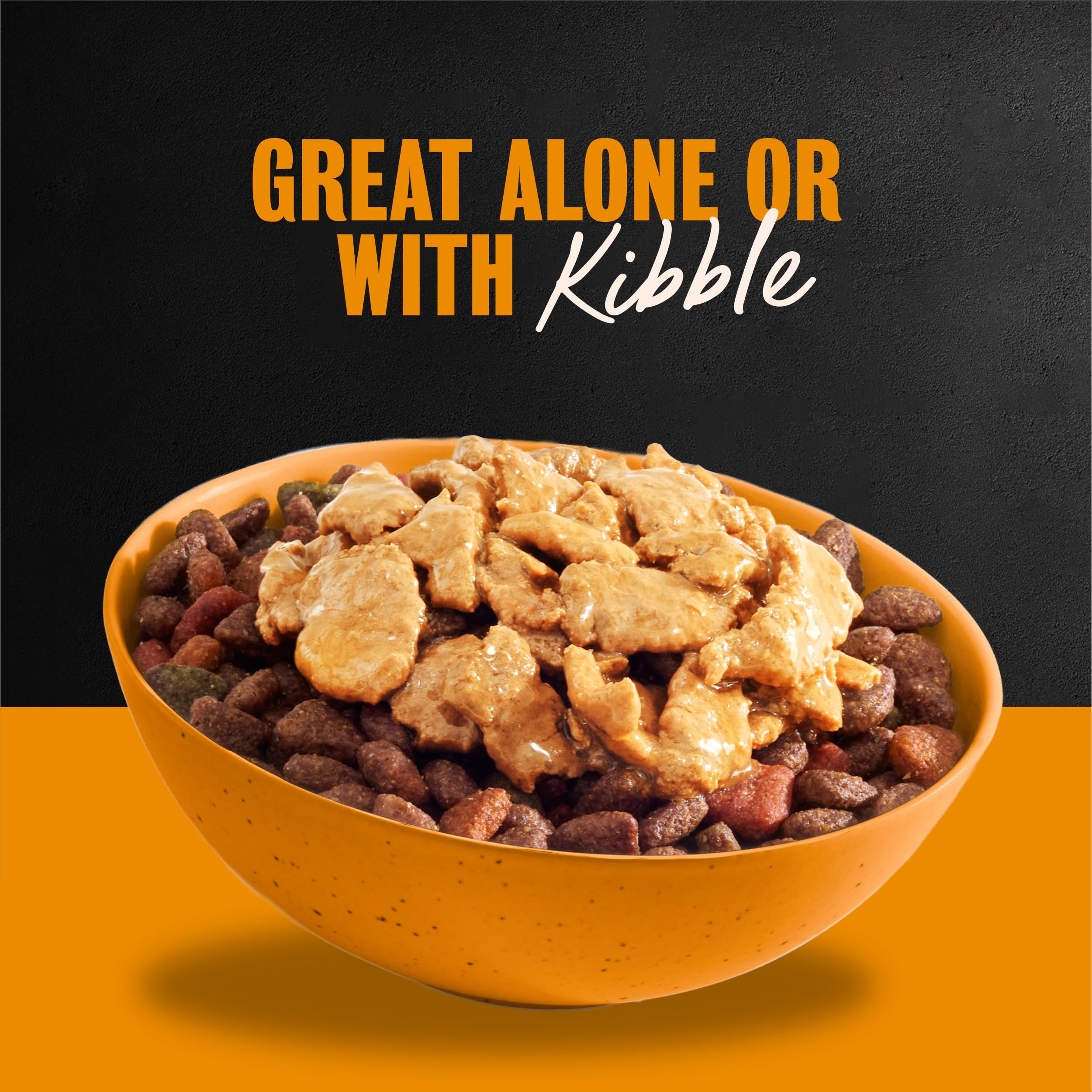 Cesar served in a dog bowl demonstrating ease of use and tempting aroma for picky eaters