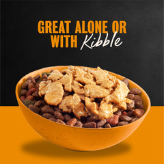 Cesar served in a dog bowl demonstrating ease of use and tempting aroma for picky eaters
