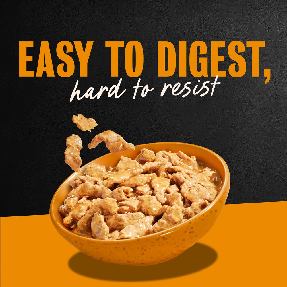 Cesar texture detail of slow-cooked protein showing tender consistency dogs favor