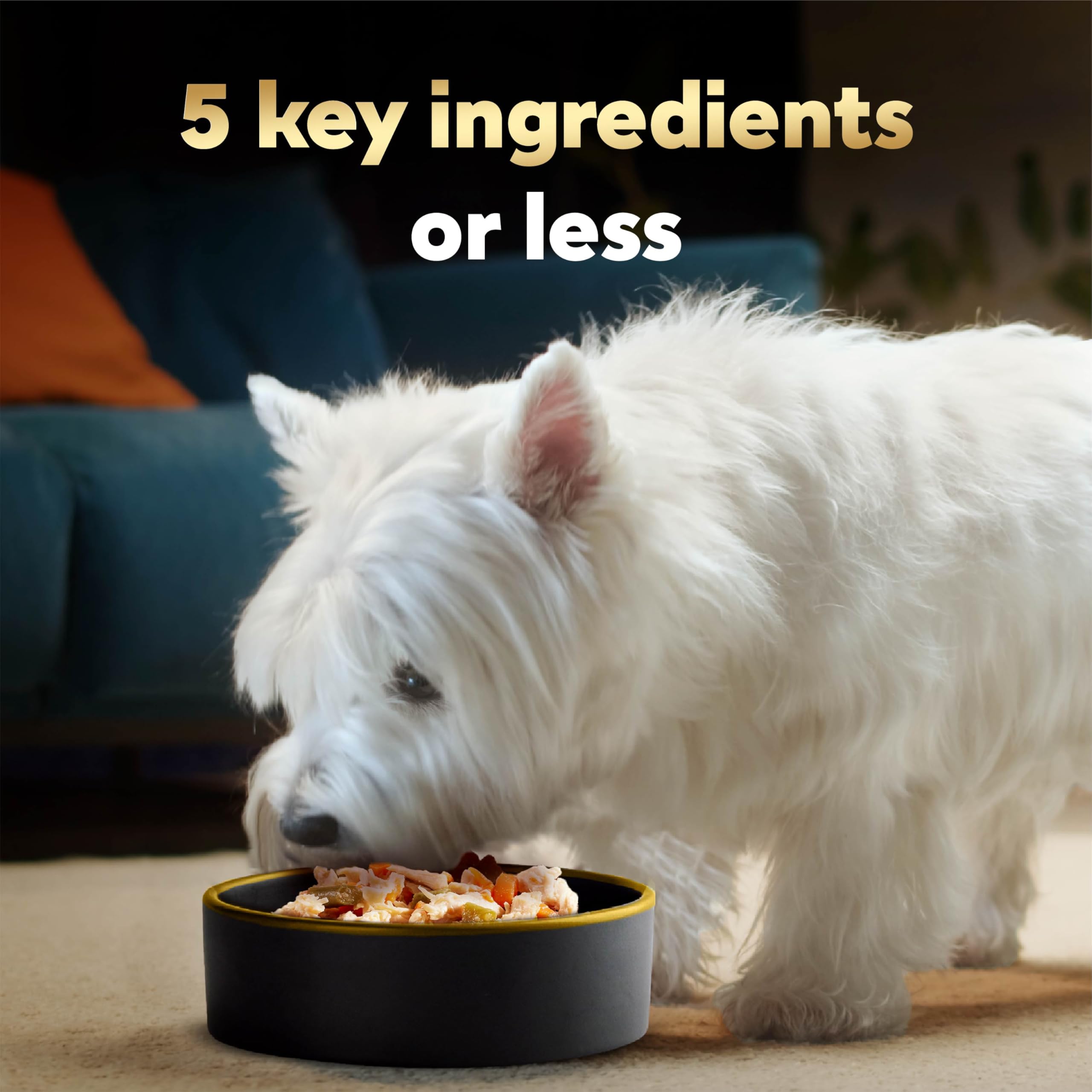 Cesar primer plano de textura para resaltar ingredientes reales
