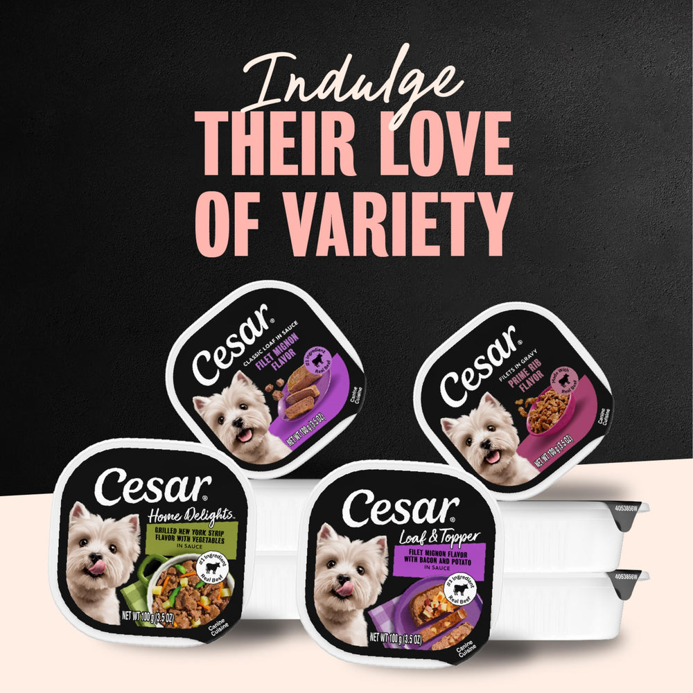 Cesar varias bandejas con distintos sabores, variedad para mantener interés