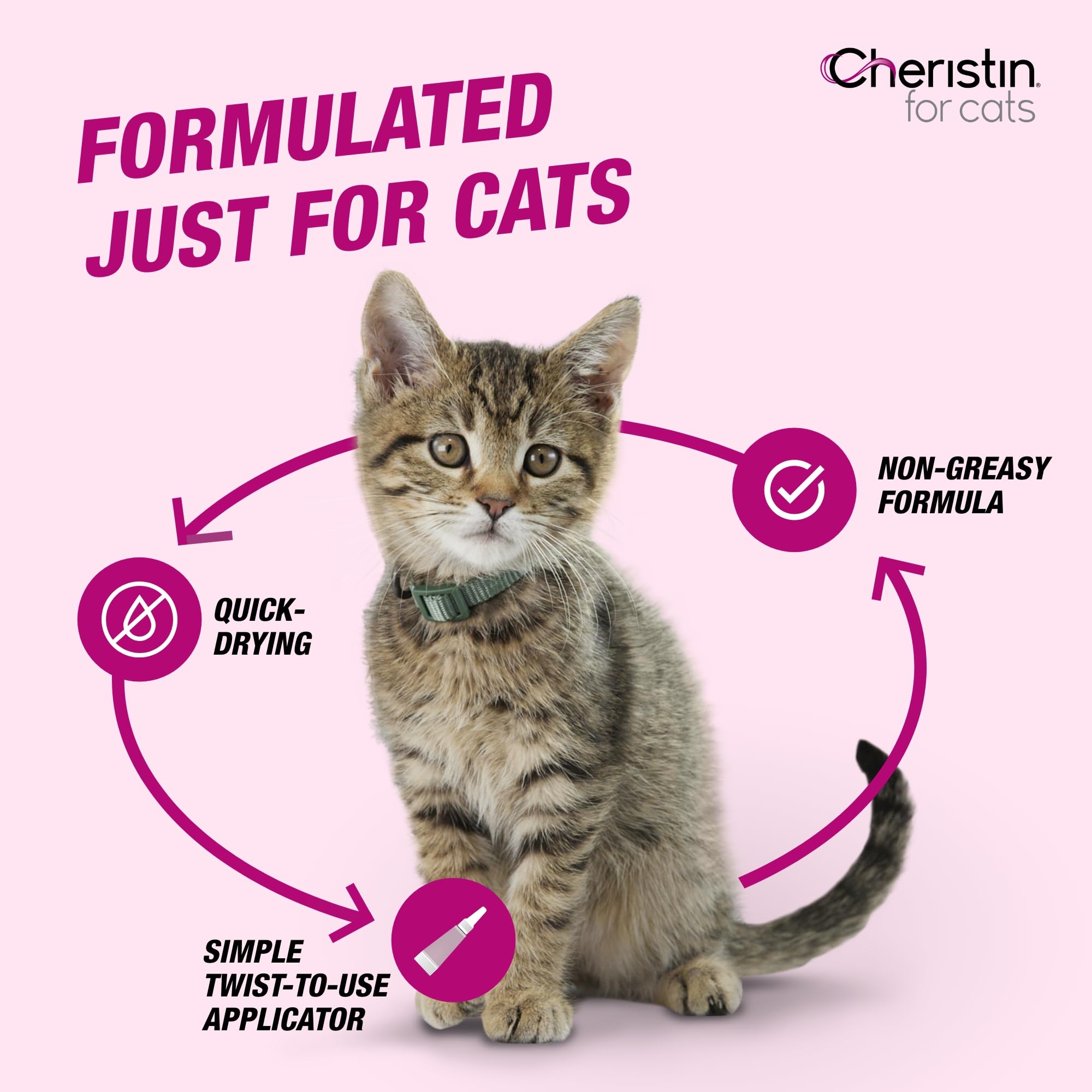 Cheristin en escenario de casa con varios gatos ideal para hogares múltiples
