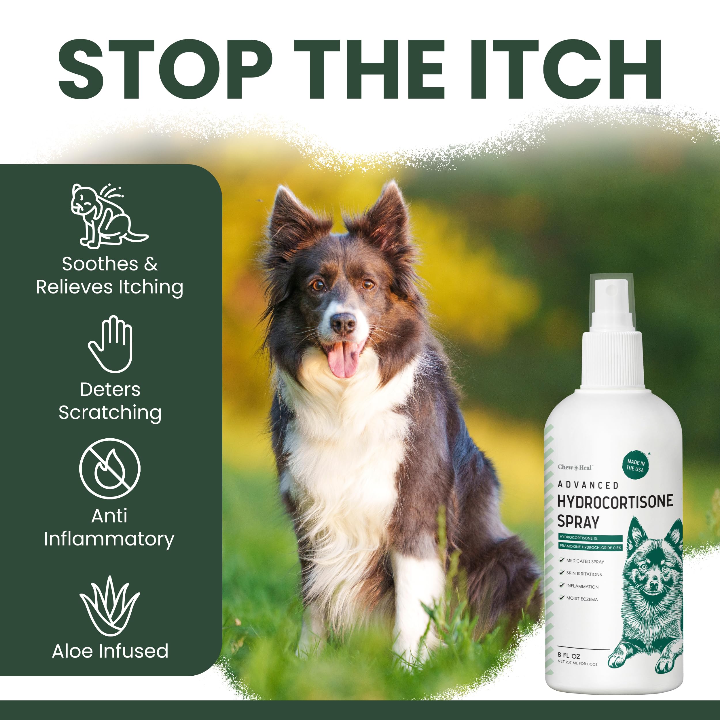 Chew + Heal Labs aplicando spray en perro para reducción de picor puntual