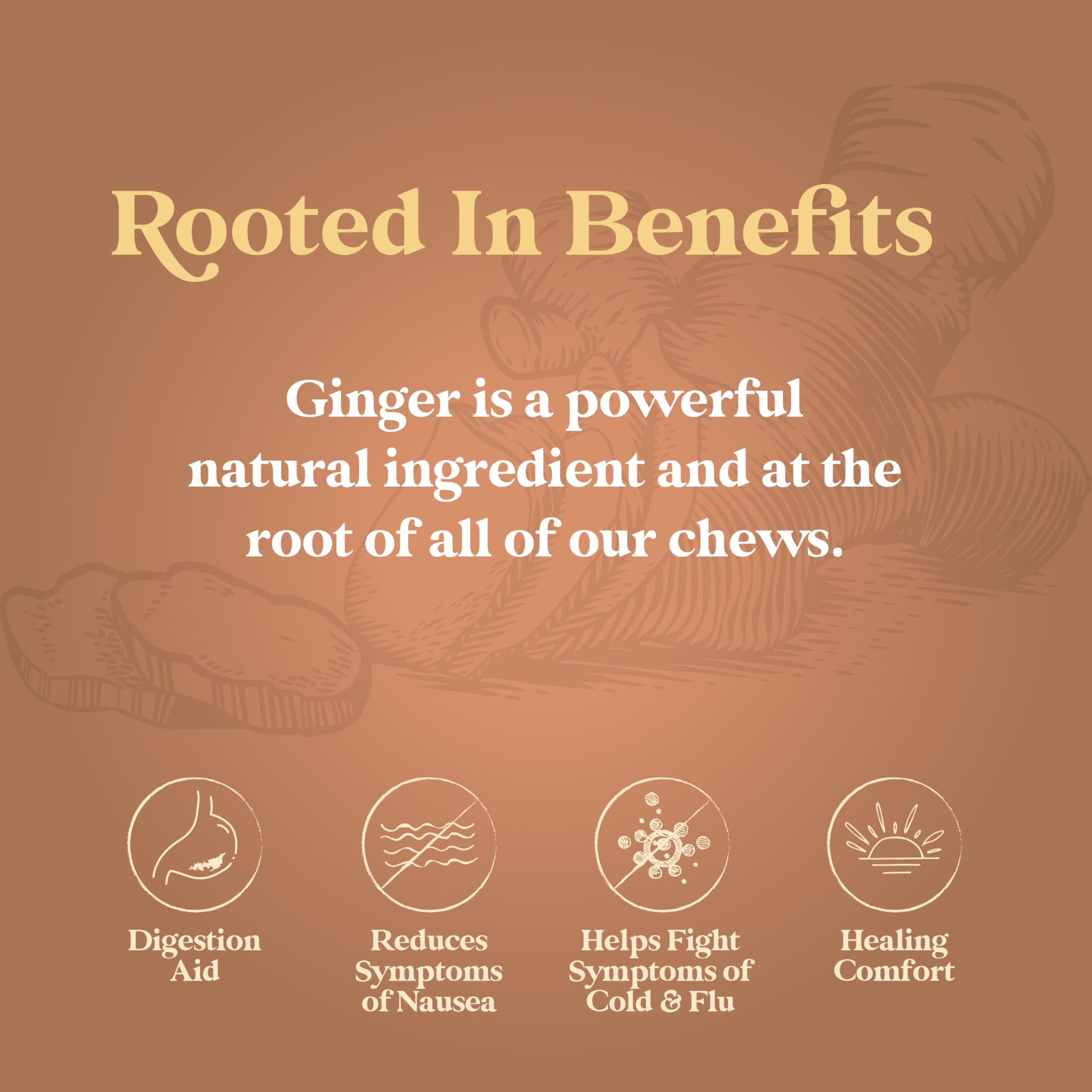 Chimes raíz de jengibre de Java como ingrediente principal y auténtico