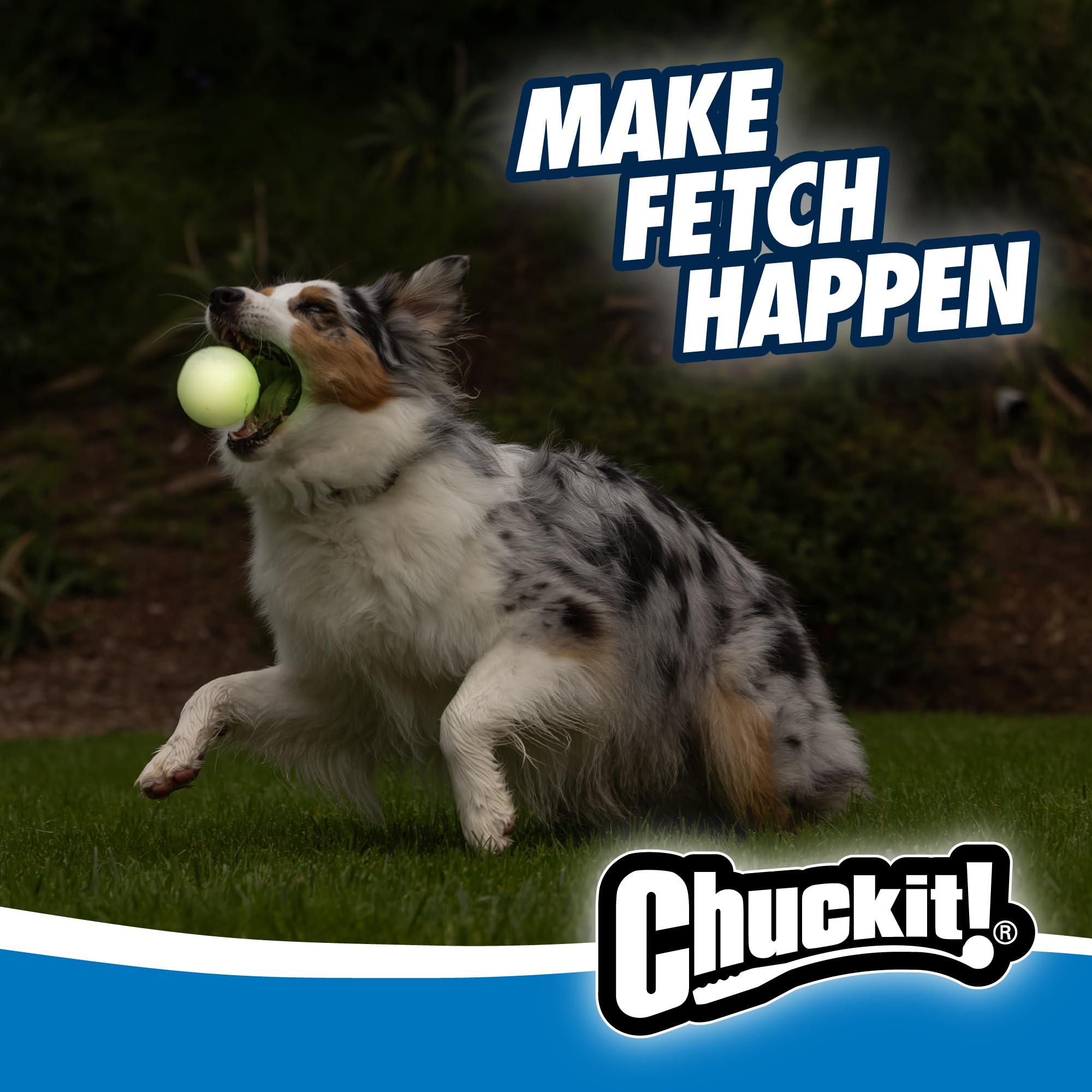 Chuckit! pelotas brillando en un parque nocturno para mantener el juego después del anochecer