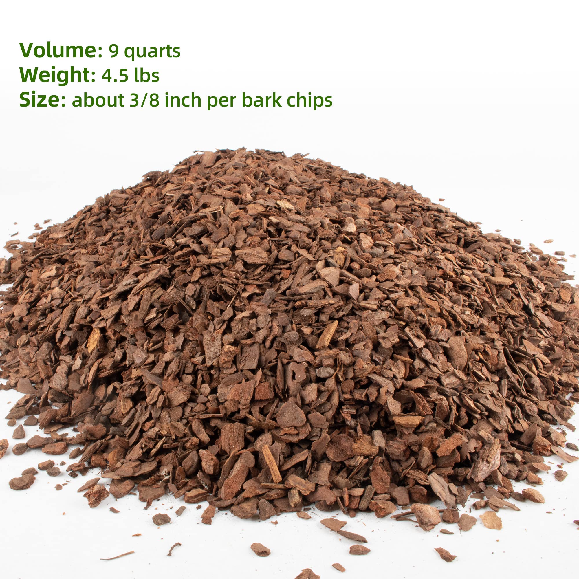 CJGQ bark used in an orchid pot demonstrating improved root aeration benefit