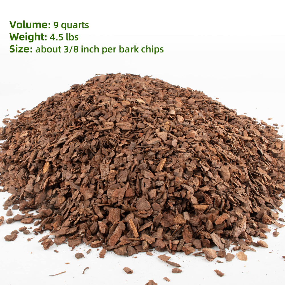 CJGQ bark used in an orchid pot demonstrating improved root aeration benefit