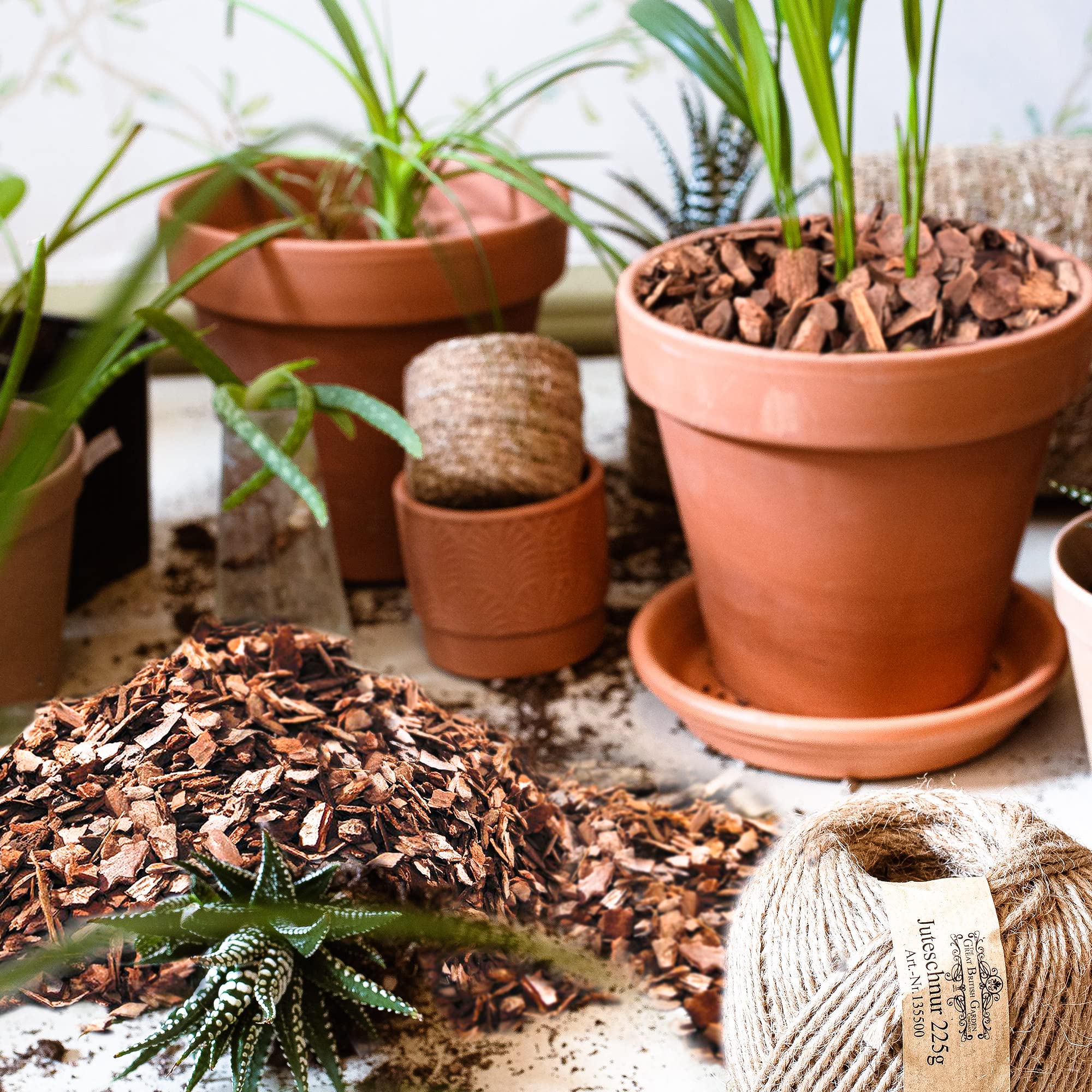 CJGQ product label close-up showing natural pine bark ingredients benefit