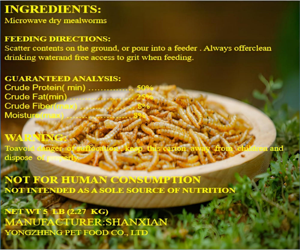 Classic Flock dried mealworms close-up texture showing natural crispness and quality