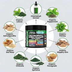 Clean Nutraceuticals algas y hojas de menta que ilustran ingredientes frescos