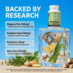 Clean Nutraceuticals cápsulas en mano para visualizar dosis y facilidad de uso