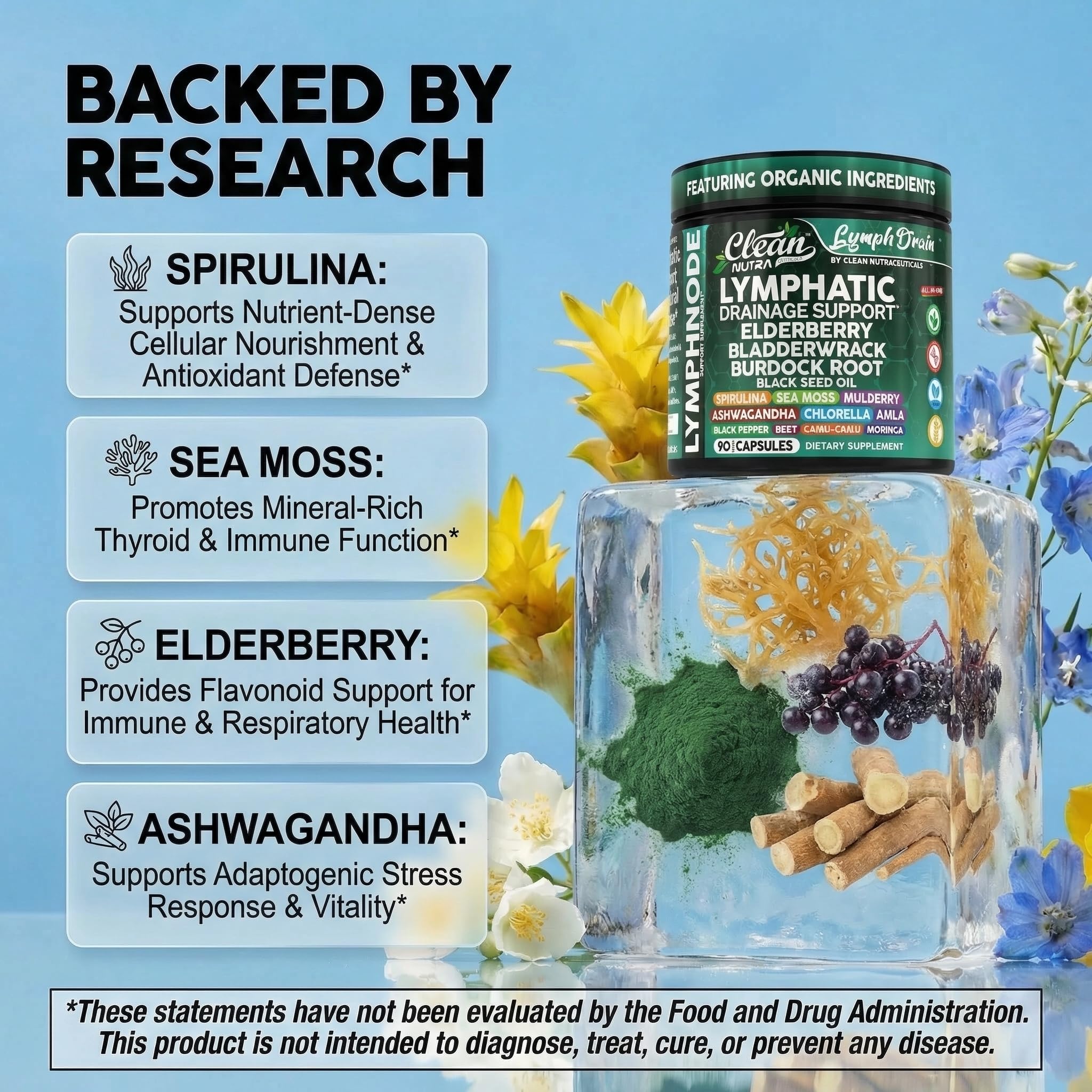 Clean Nutraceuticals textura del polvo de seamoss rica en minerales visibles