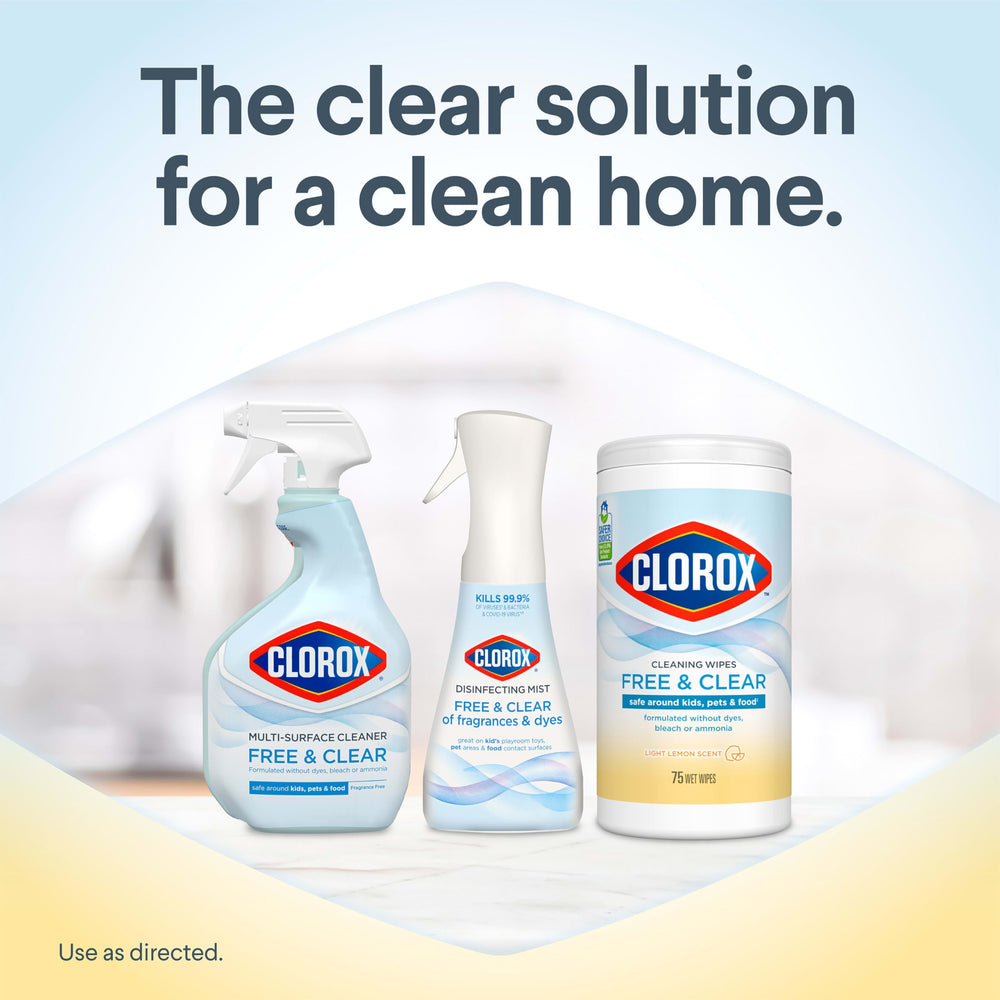 Clorox toallitas limpiando juguetes infantiles duros, seguridad y limpieza