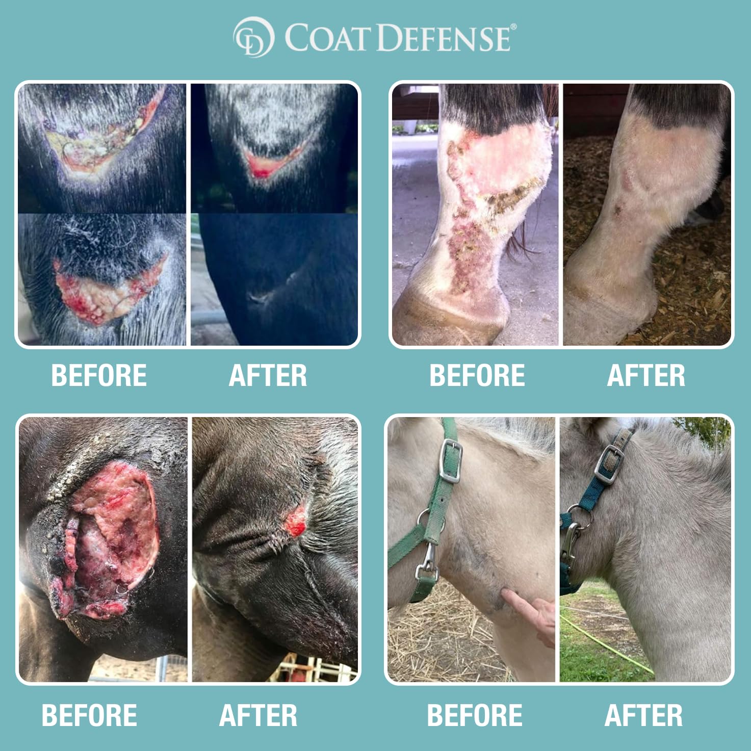 COAT DEFENSE envase junto a una mano para comparar tamaño y dosis