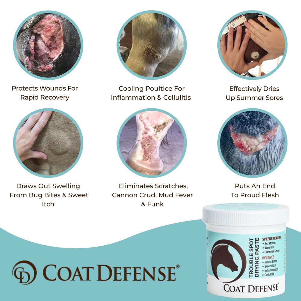 COAT DEFENSE textura de la pasta en primer plano que muestra absorción