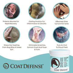 COAT DEFENSE textura de la pasta en primer plano que muestra absorción