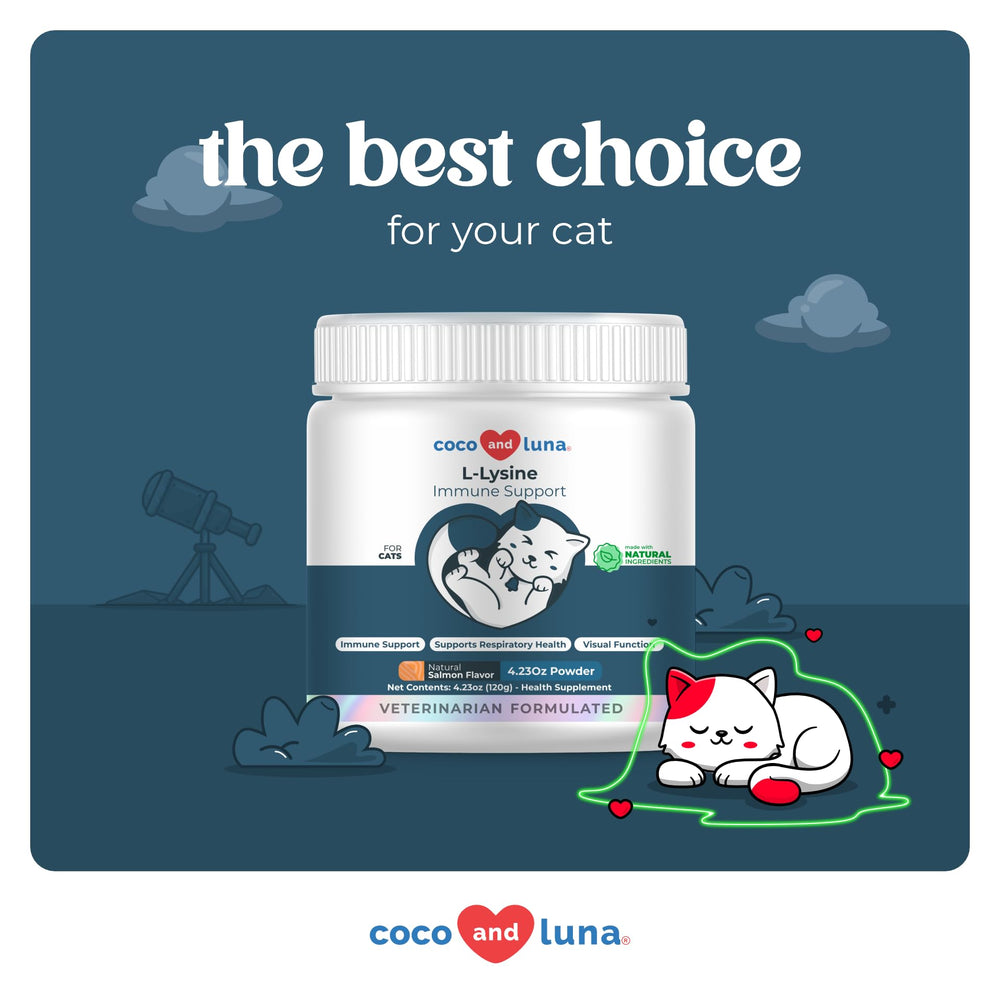 Coco and Luna supplement with relaxed cat in kitchen showing daily use