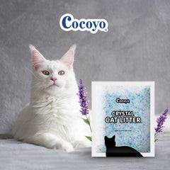 COCOYO arena en arenero en uso con menos olor y limpieza fácil