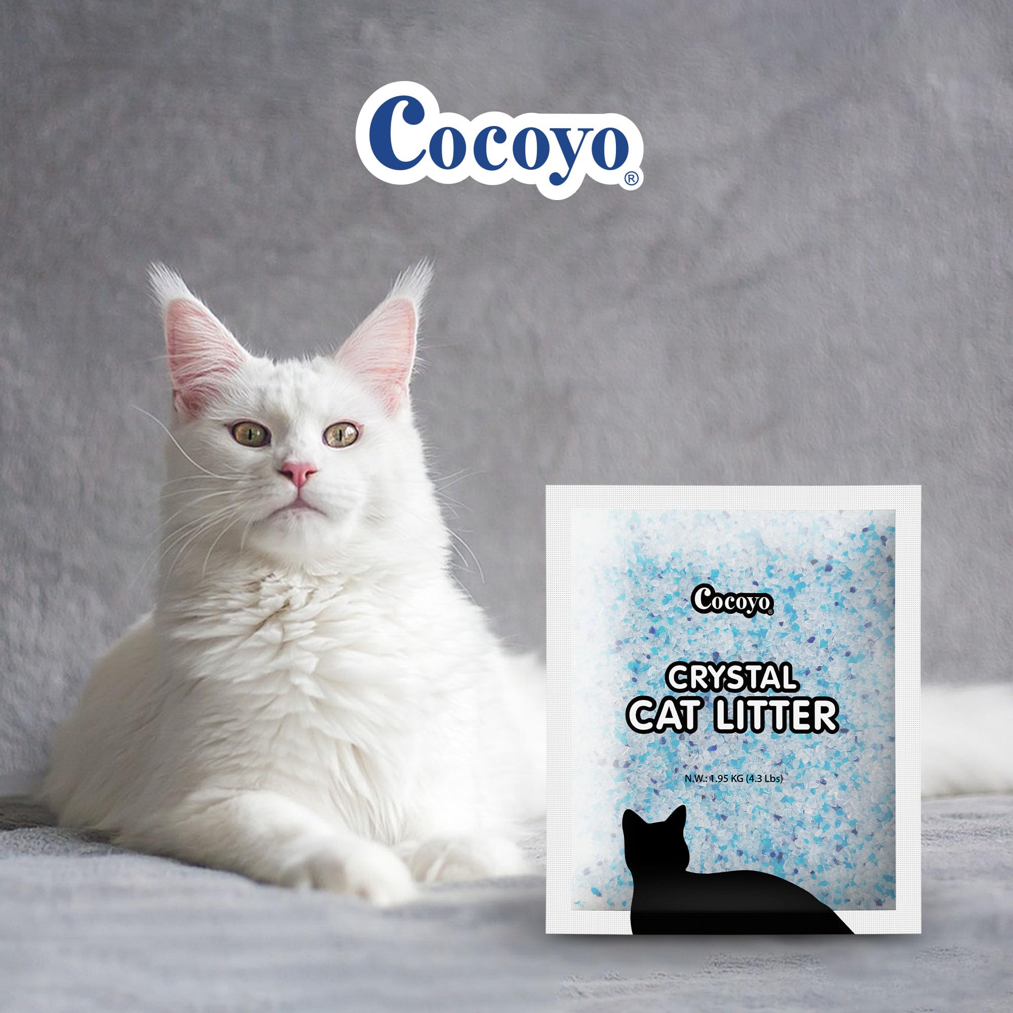 COCOYO primer plano de cristales de sílice que absorben humedad rápidamente