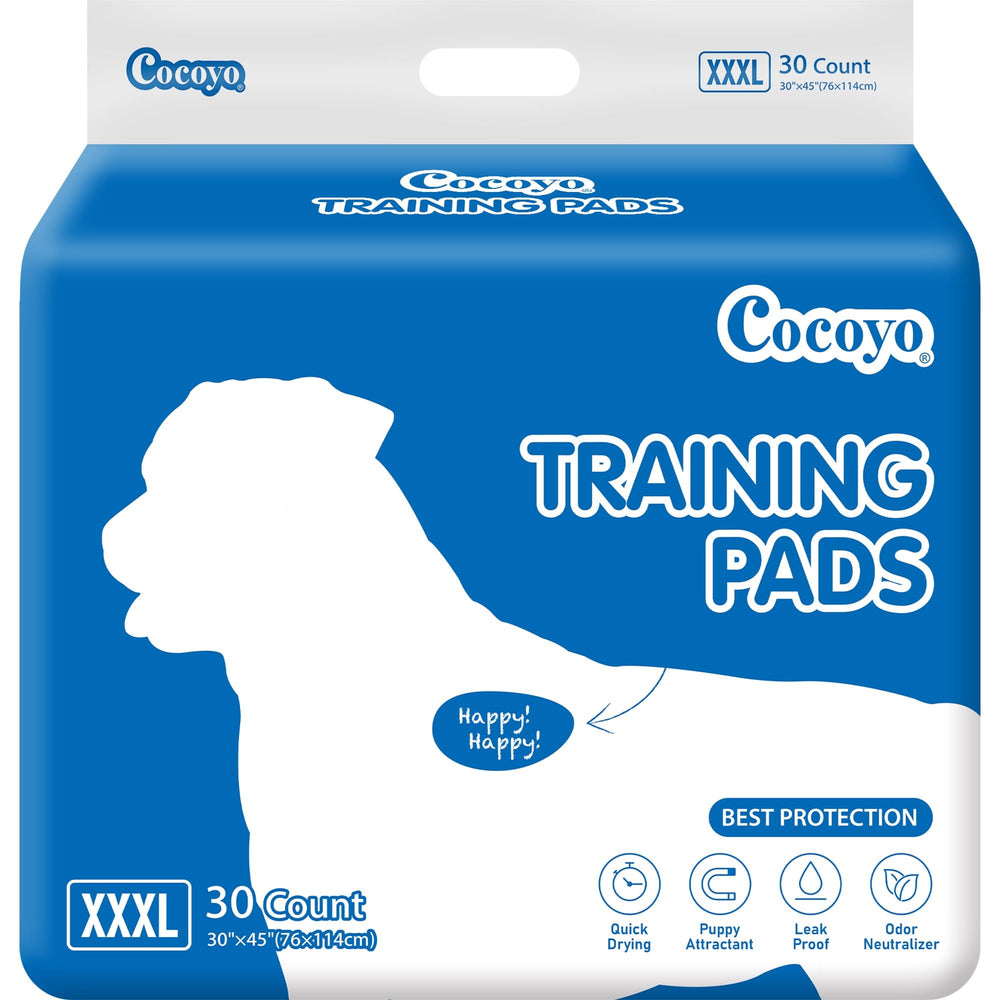 COCOYO paquete frontal de 30 unidades, acceso rápido y ahorro
