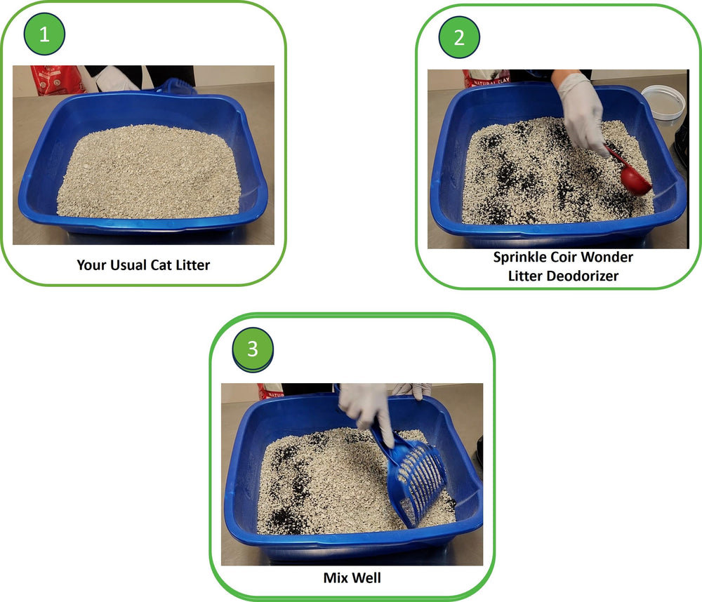 Aplicación de Coir Wonder en caja de arena de gato, mantiene la caja fresca más tiempo
