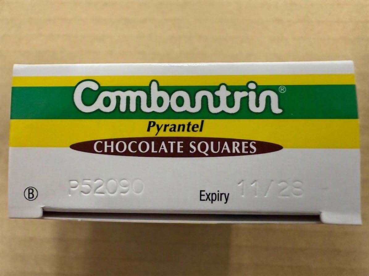 Primer plano de un Combantrin Chocolate Square mostrando textura y brillo